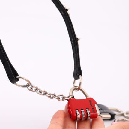 Lockable BDSM collar with pink “Good Girl” combination padlock and chain O-ring front